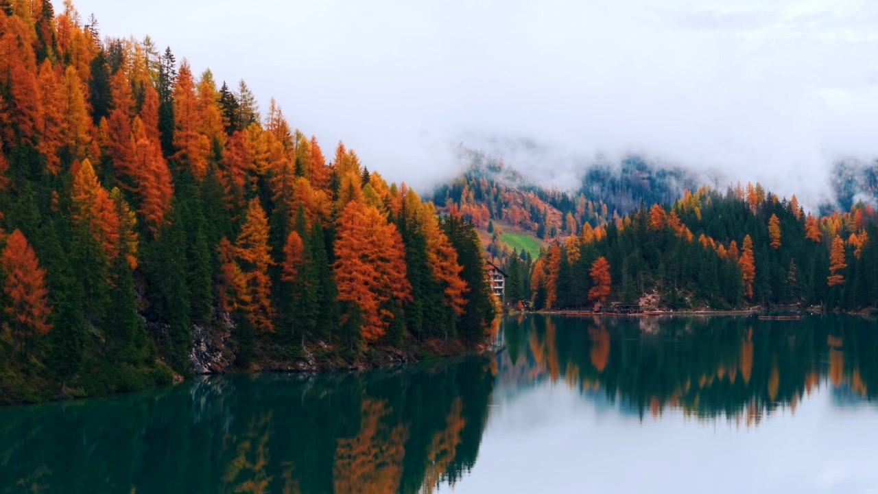 Deep Focus and Study music, Healing Nature Sounds, Enchanting 4K Nature landscapes
