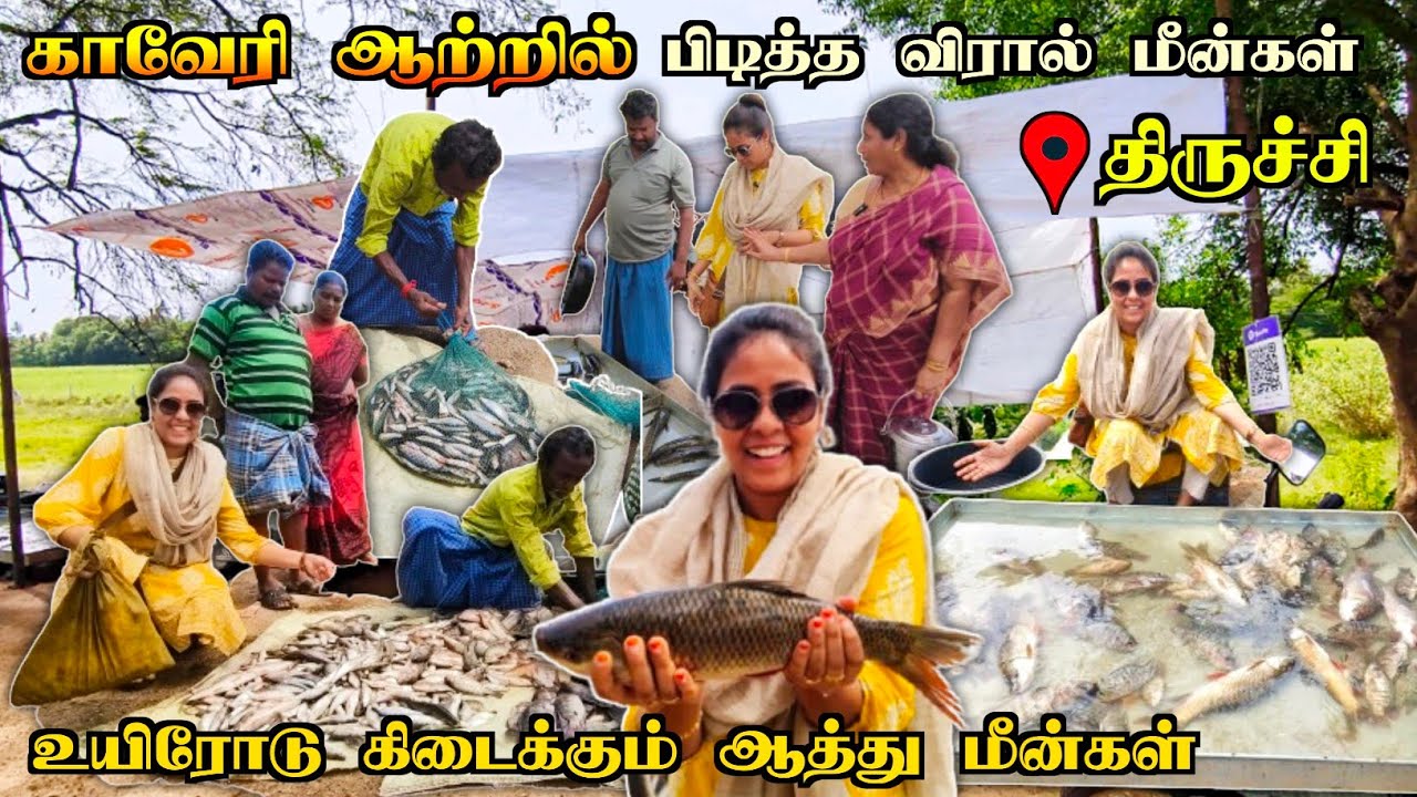 💯💥திருச்சி காவேரில அம்மாவுக்கு பிடித்த Fresh-ஆன ஆத்து மீன்களை உயிரோட வாங்கியாச்சி😍🔥| Media பட்டதாரி