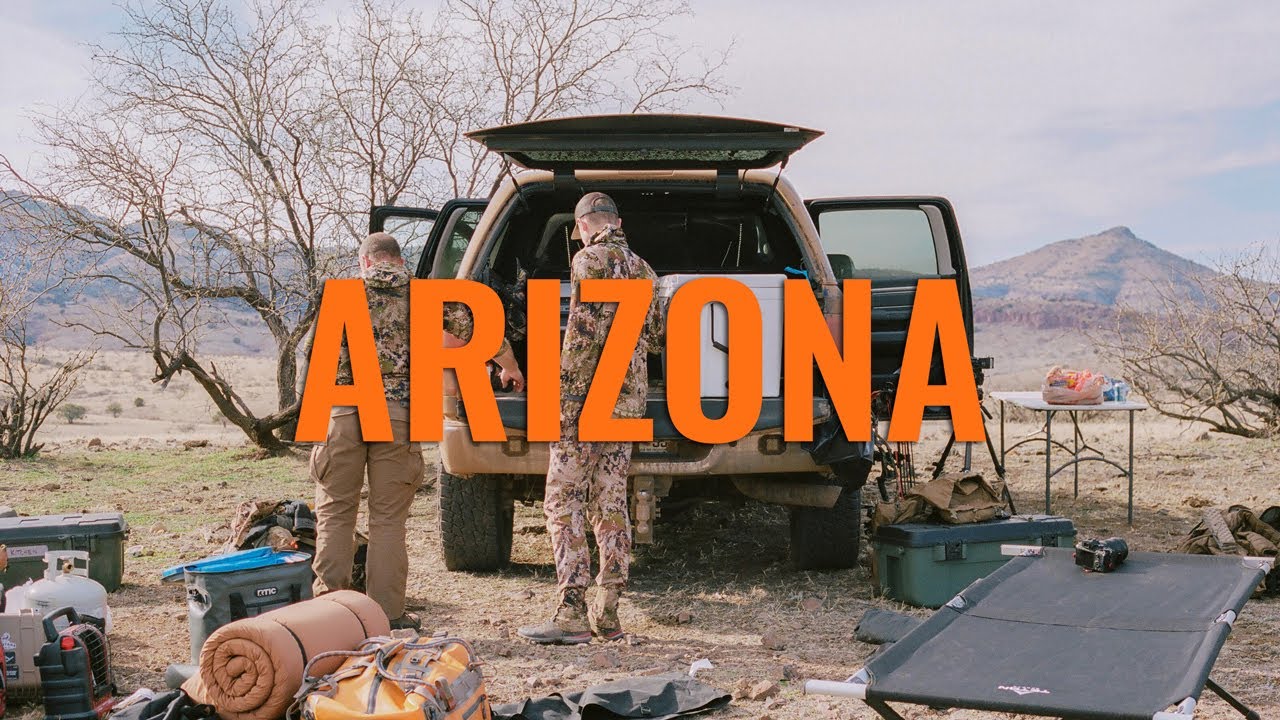 WHAT YOU NEED TO KNOW - Arizona Application Strategy