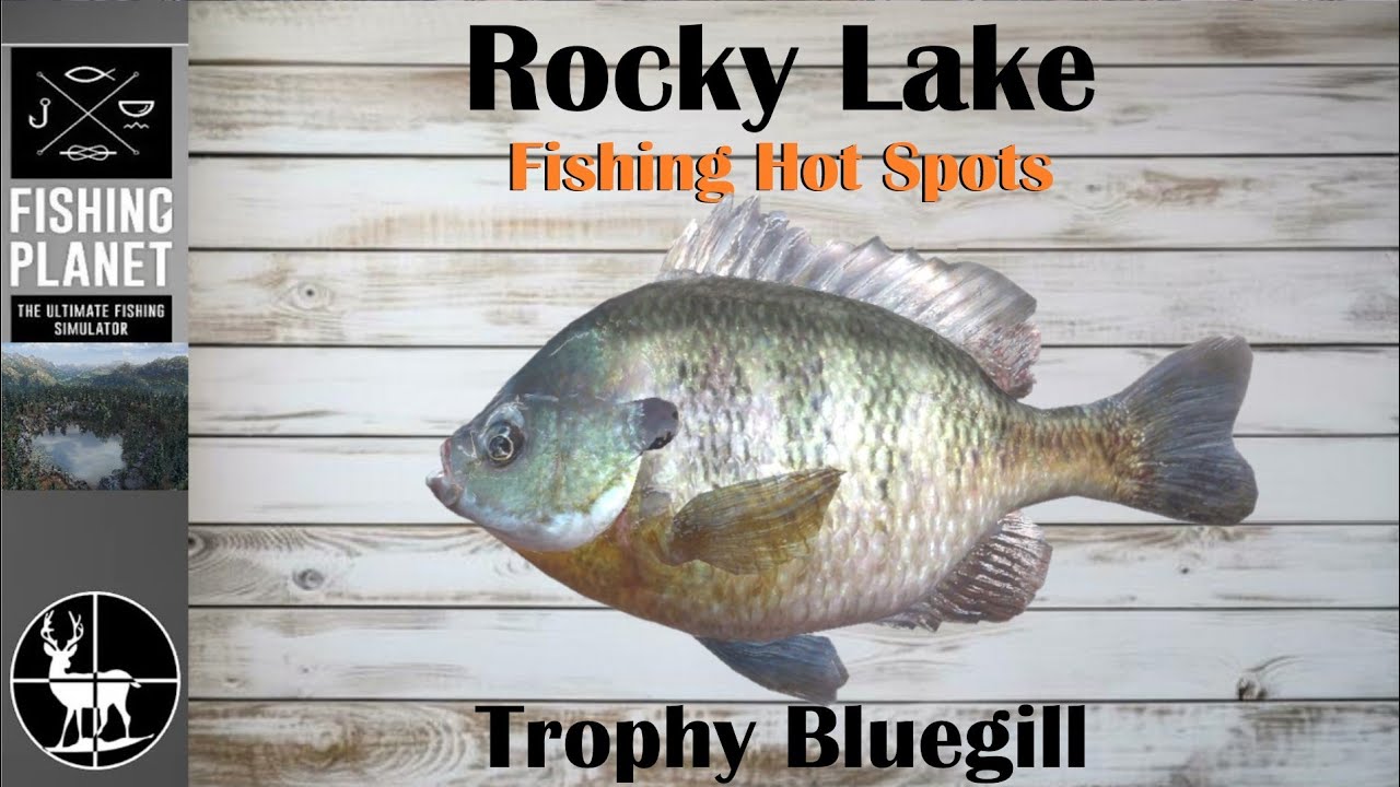 How To Catch Trophy Bluegill | Rocky Lake | Fishing Planet Hot Spots