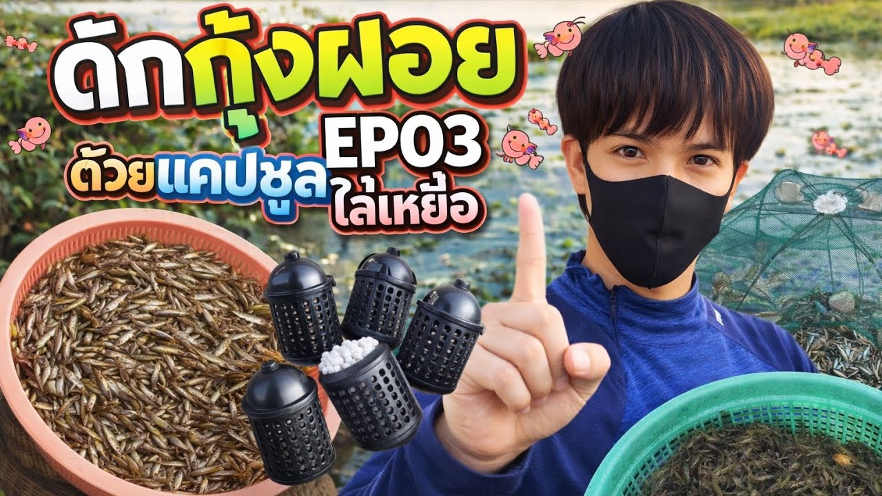ใส่มุ้งดักกุ้งฝอยEP03 ตอน แคปซูลใส่เหยื่อ VS ตาข่ายฟ้าใส่เหยื่อ สร้างรายได้หลักหมื่น 