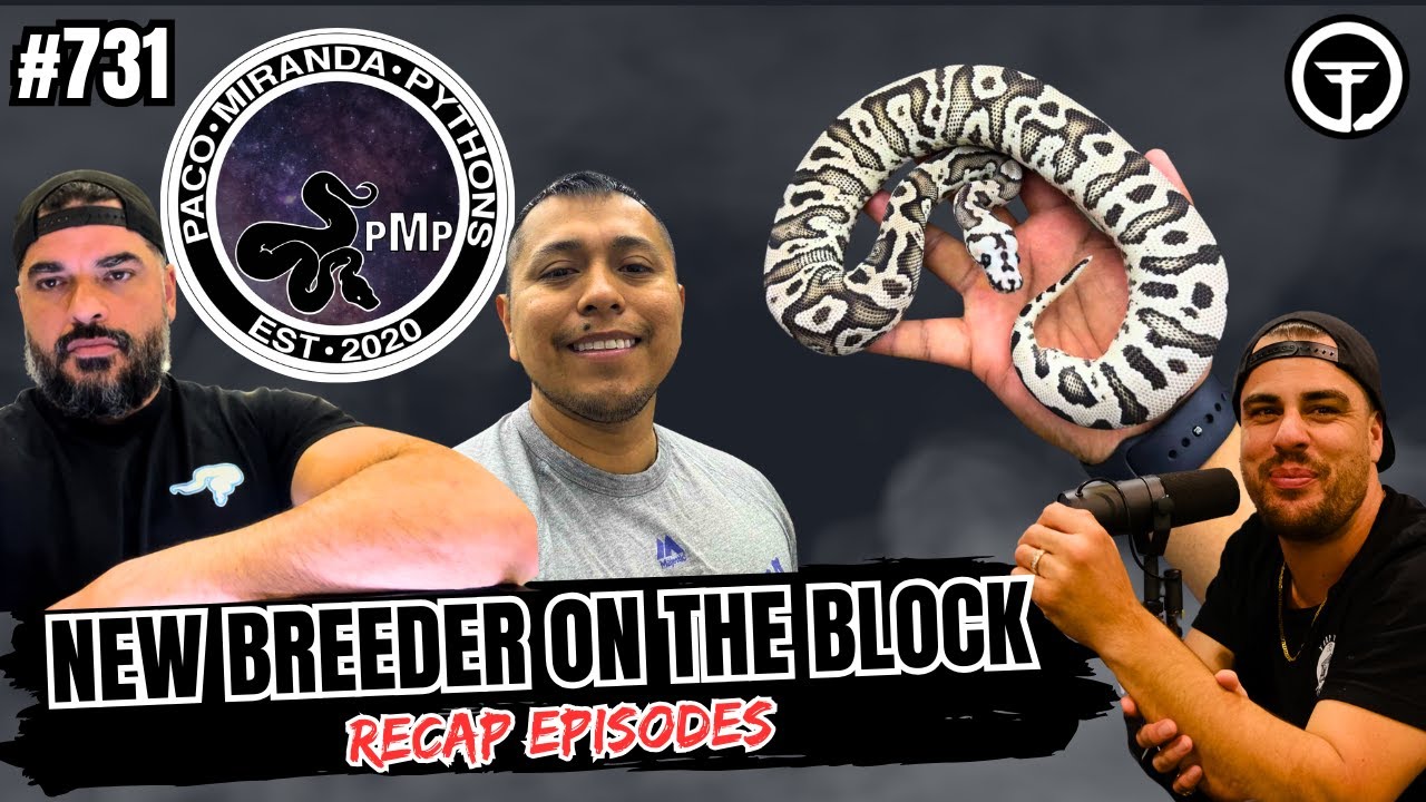 What REALLY Went Down At The Southeast Reptile Expo... Good Sales or No Sales?