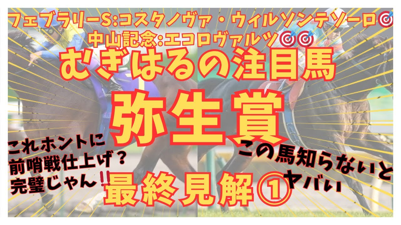 【弥生賞2026】ホントに前哨戦仕上げ？皆さんが期待している●●が順調に好走🎯‼️