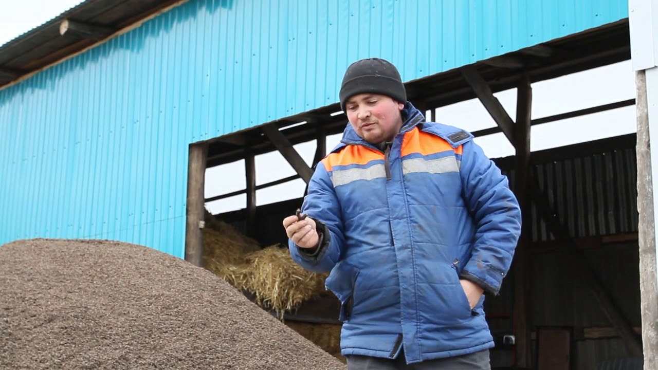 Сухой жом.