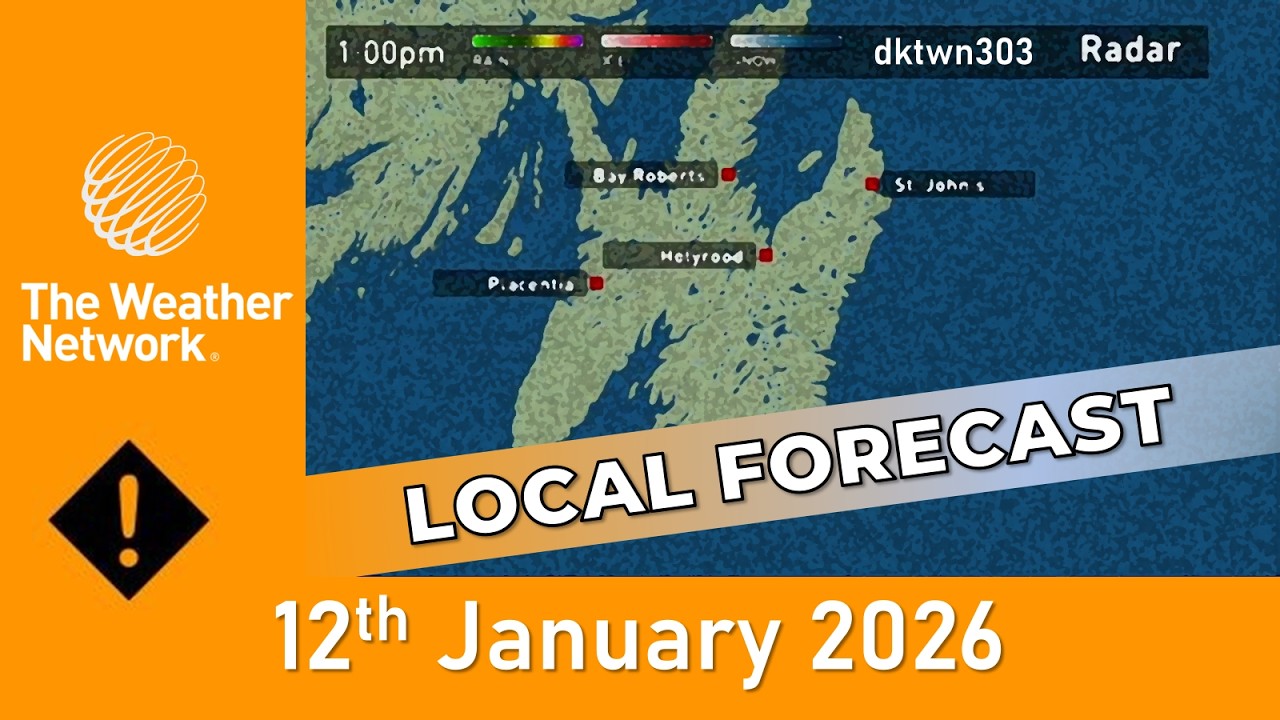 The Weather Network Local Forecast - 11 January 2026
