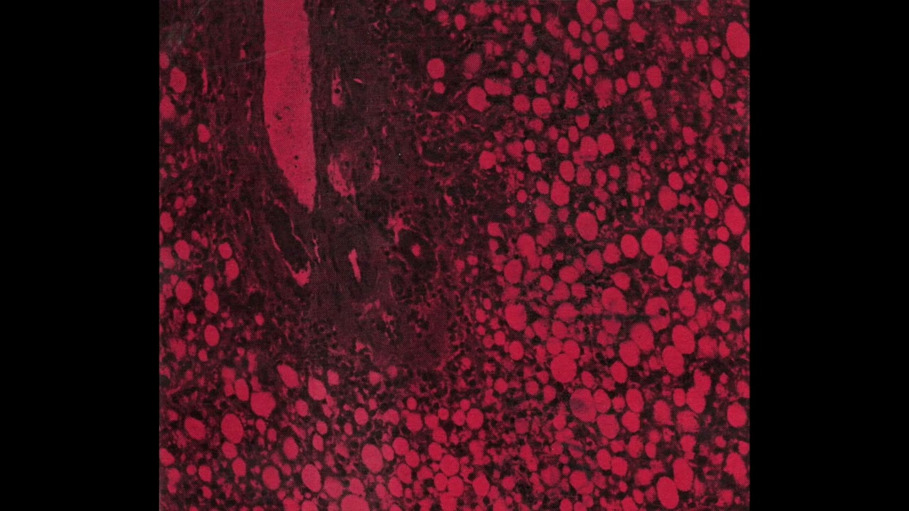 Textgate - Red Book