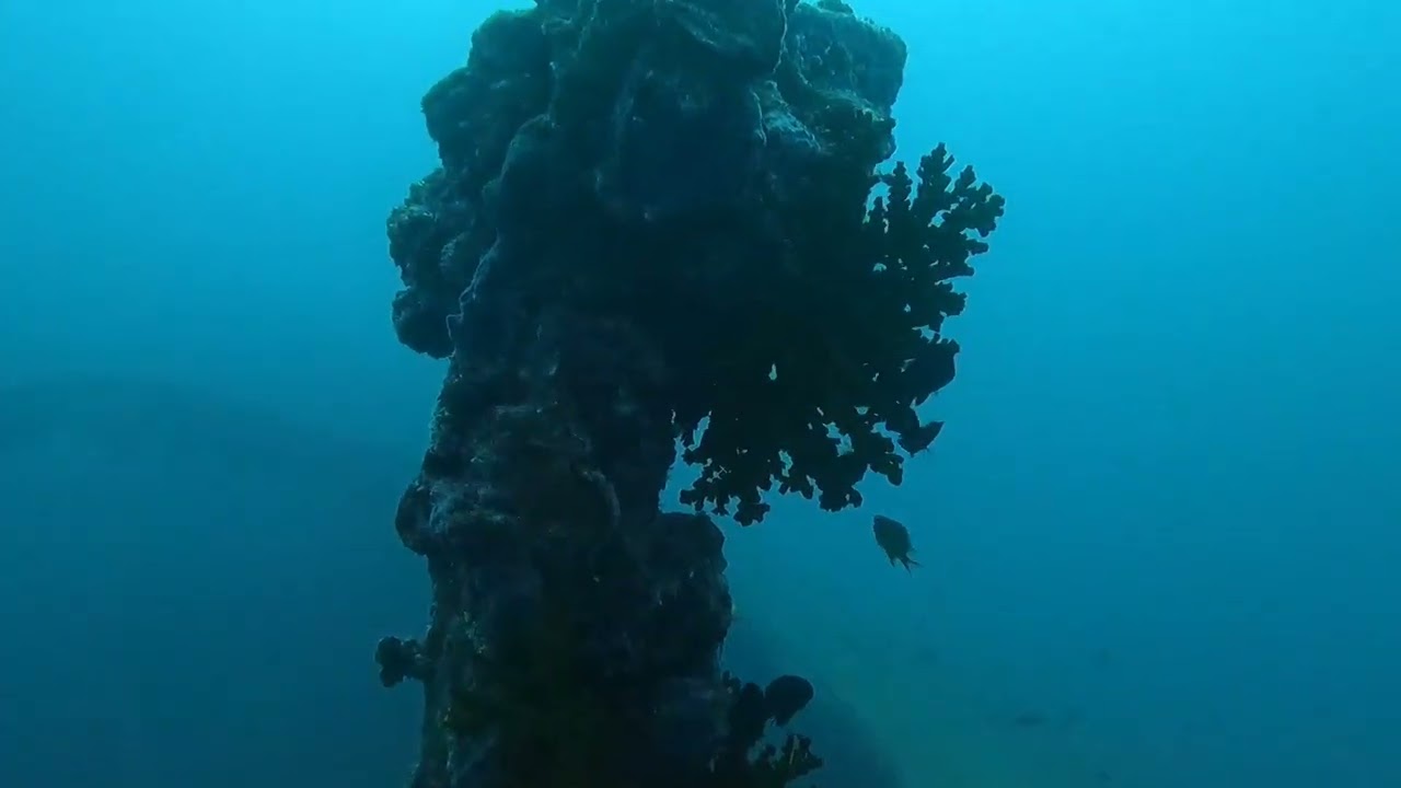 A dive to the USS Emmons, off the coast of Kori Island in Okinawa, Japan 2024. 