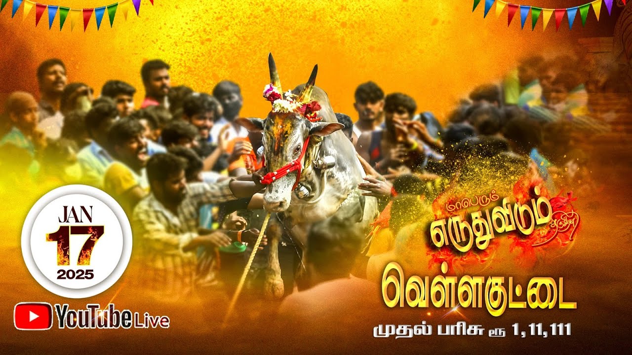 🔴YouTube Live VELLAKUTTAI ERUTHU KATTU 17.01.2025 வெள்ளகுட்டை எருதுவிடும் திருவிழா நேரலை 9787462444