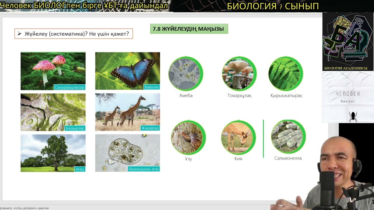 7.8. Жүйелеу (систематика)? #систематика #биология #7сыныпбиология #ұбтбиология #ұбт #биологияакадем