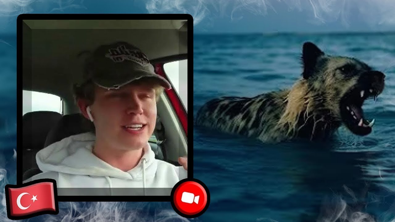 FIRST REACTION TO SWIM - MOTIVE | Turkish Music Reaction
