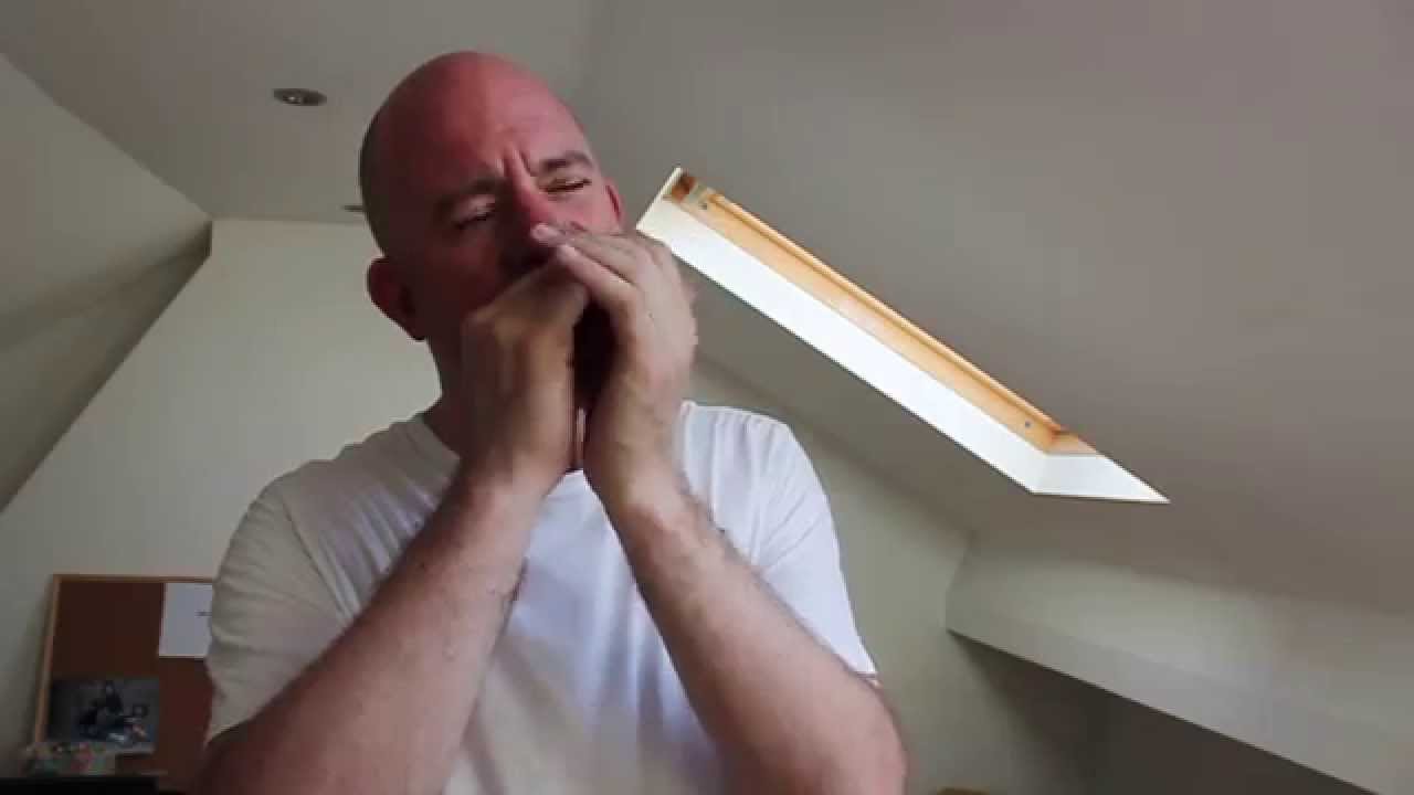 Blues harmonica lesson - 