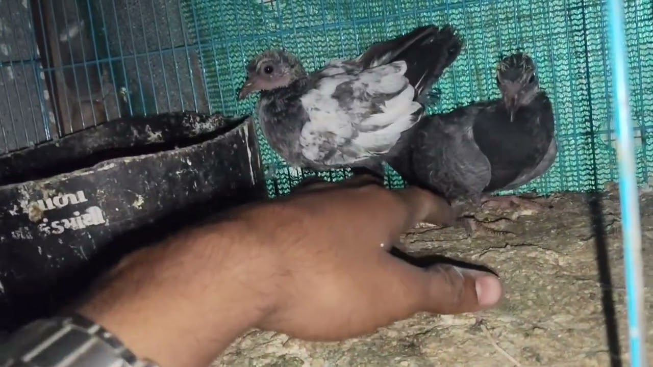 Chote bache bhi bhara nikal diya 🫣🤫#aayushloft