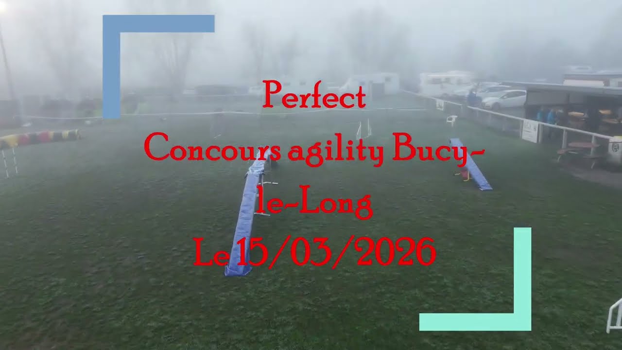 2026/03/15 Concours agility Bucy-le-Long Perfect