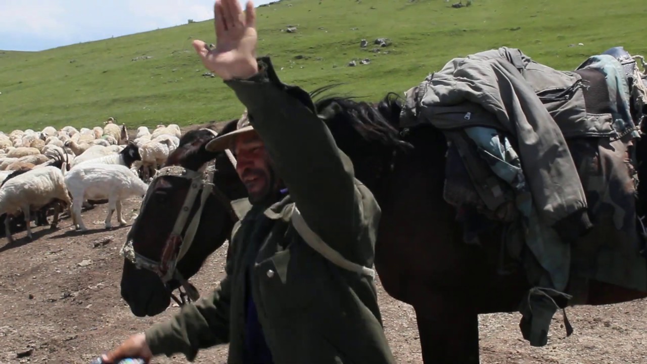 Գեղարքունիքի մարզ. Վարսեր