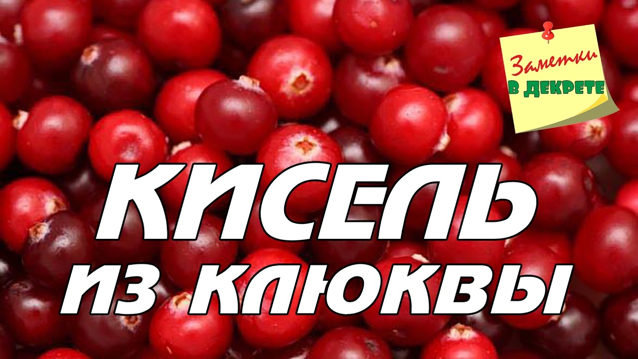 Клюквенный кисель  Быстро и вкусно  Освежает летом и заряжает витаминами зимой