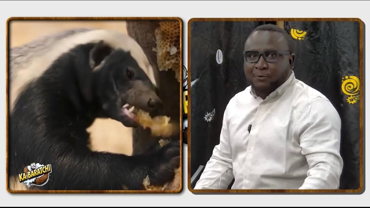 KA BARATHI DU 10 02 2026 AVEC LES DAMES DE “IKA CADEAUX “ ZENAB ET AGAICHATOU