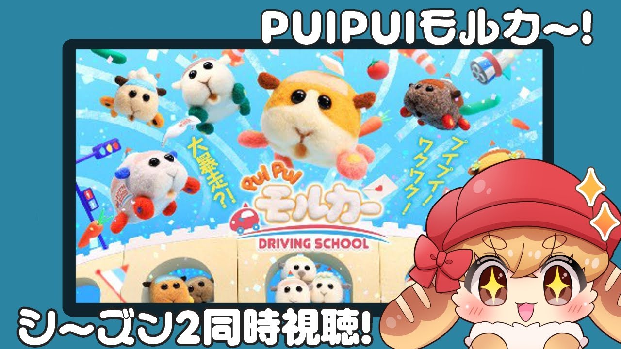 【Vtuber】PUIPUIモルカーシーズン２を同時視聴で一緒に楽しもう✨【同時視聴】