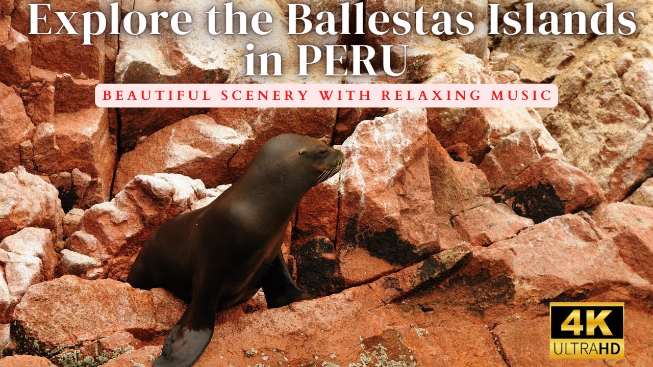 Explore the Las Ballestas Islands in PERU