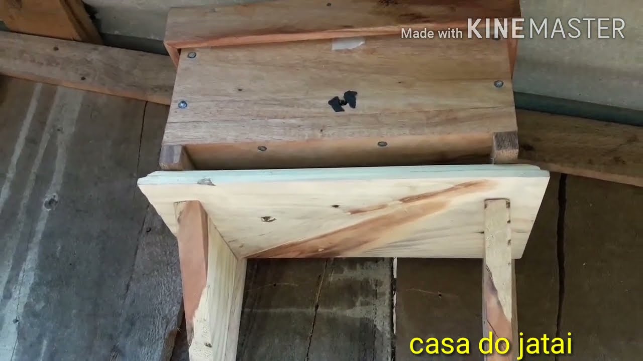 SALVANDO ABELHA MIRIM DE ATAQUE DE ABELHA LIMÃO, SAQUE, ROUBO (Lestrimelitta limão)