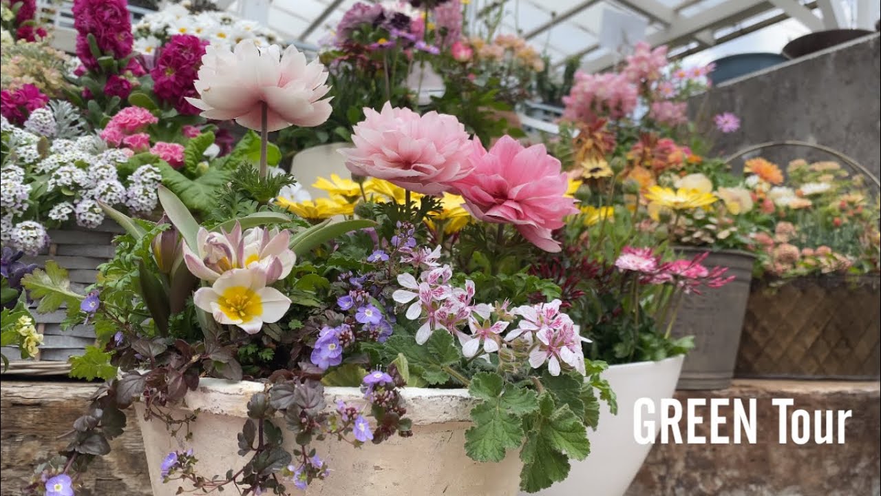春はもうすぐそこ！最高に気分が上がるお庭で春を迎える準備が整うお洒落で素敵な明治創業の名店ガーデニングショップ | 陽春園 |  園芸/観葉植物店巡り | 兵庫/ 宝塚