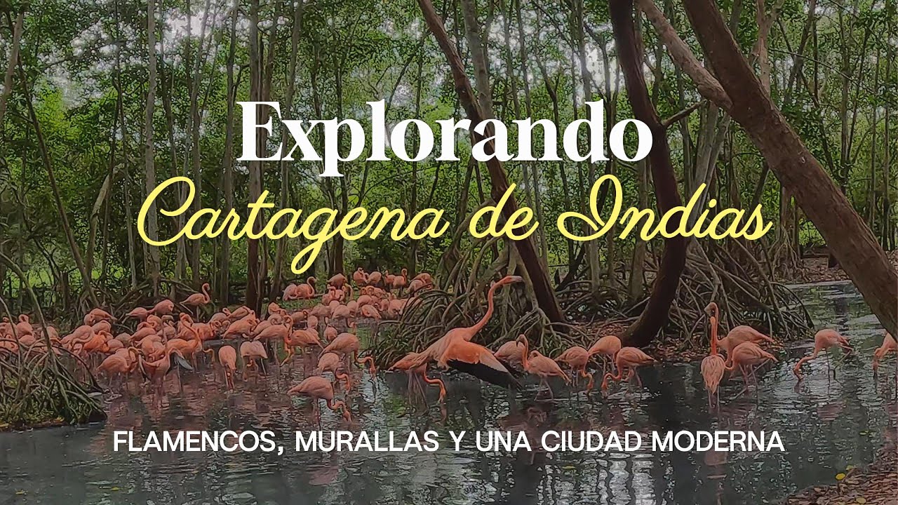 Explorando Cartagena de Indias | Flamencos, murallas y una ciudad moderna