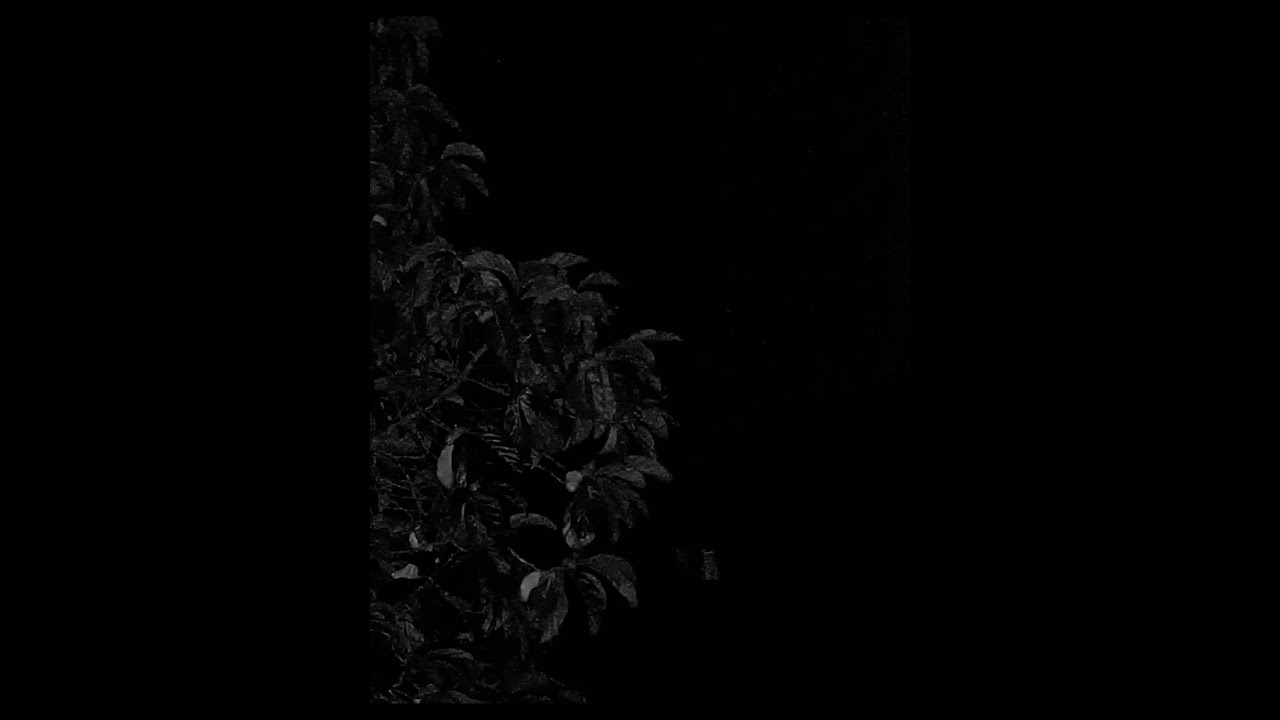 Daerves Zaldrizes - End