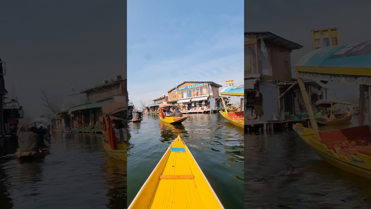 Lake of floating houseboat #dallakesrinagar #srinagar #kashmirtourism #lakeview