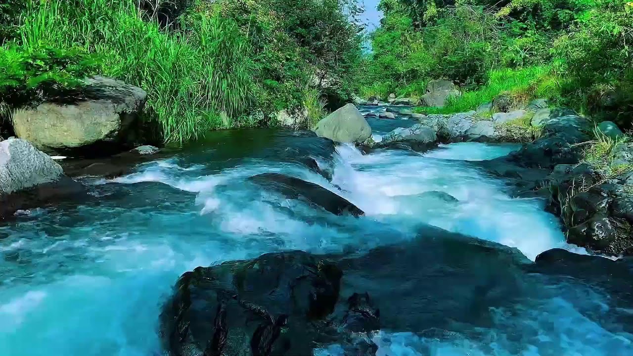 Flowing Mountain Stream Sounds, Forest River Calm Water, Sleep