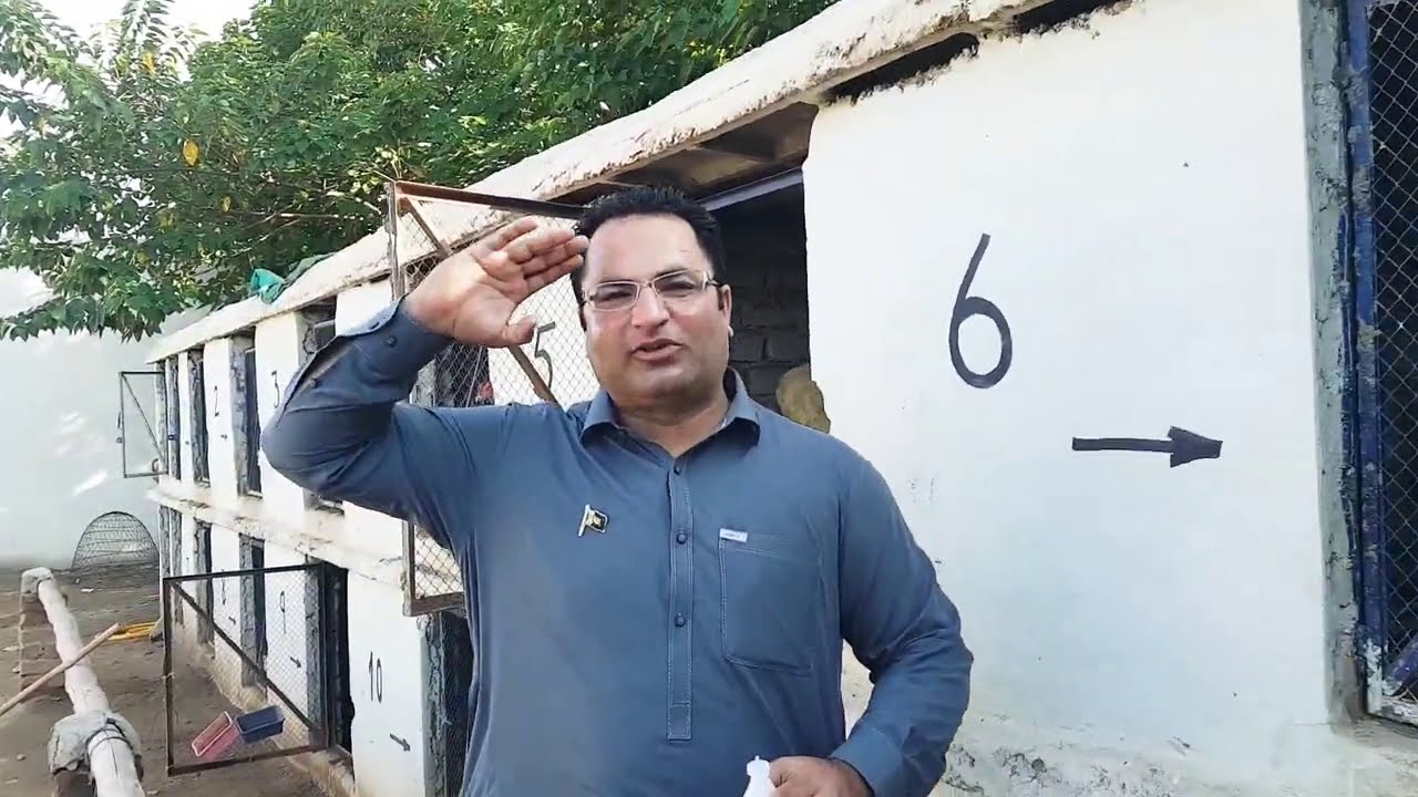 TIPS For: Raanikait ND-Clone Vaccination & Saath May Joowo Ka iLaaj By King Palay Khan| 03149000032