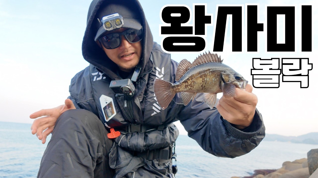 왕사미급 볼락이 그냥 막 나오네 미쳤다!!