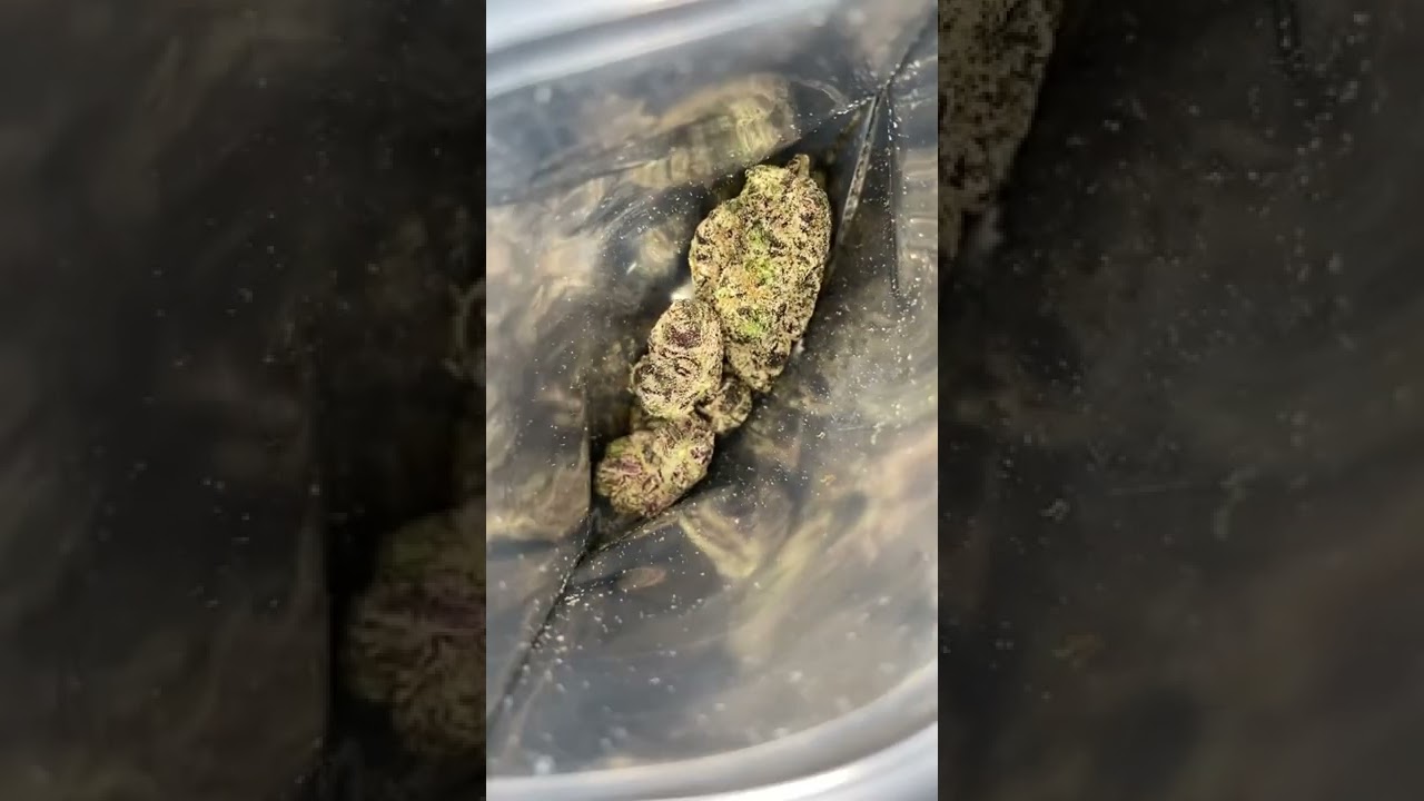 Bubblegum Haupia 🍬 &bull; Strain Review &bull; Mount Burnin X Shopping Carts🛒 #Lonerpaccs