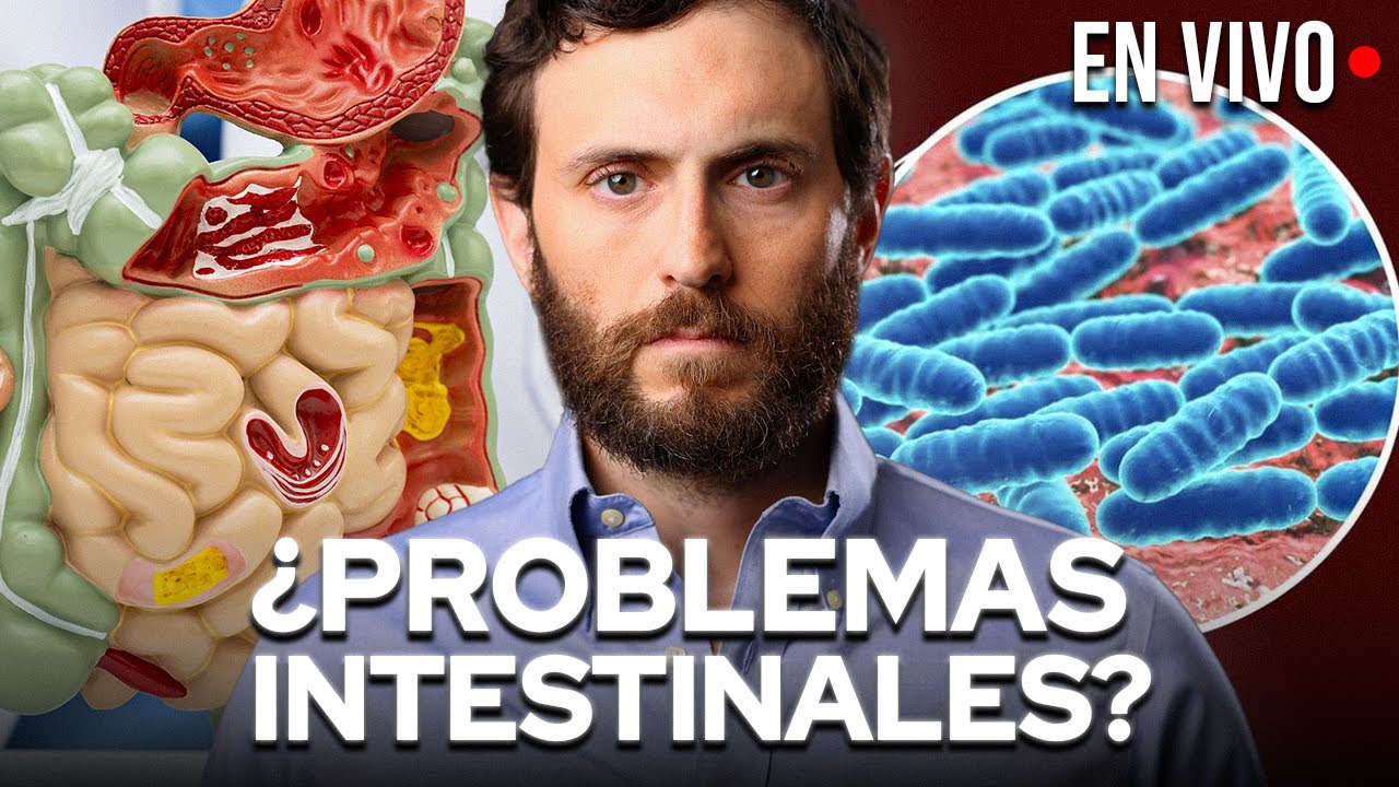 Como Reparar tu Intestino y Mejorar tu Distensión