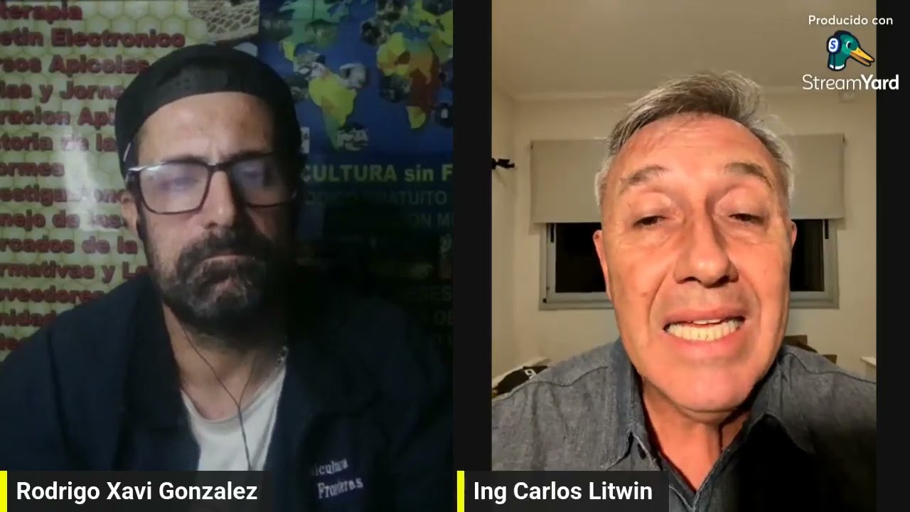 Beneficios y bondades de la apitoxina inyectable y en todas sus formas de aplicación