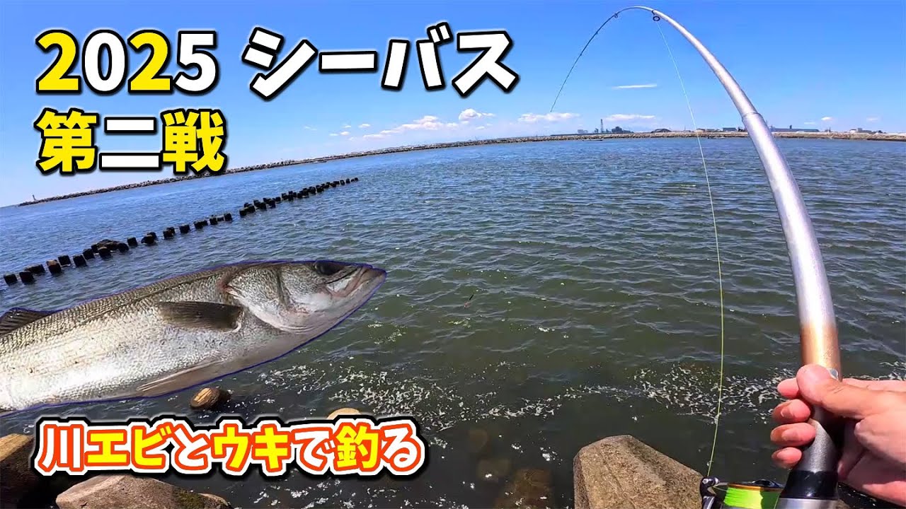 川エビで シーバス ウキ釣り 2025 第二戦