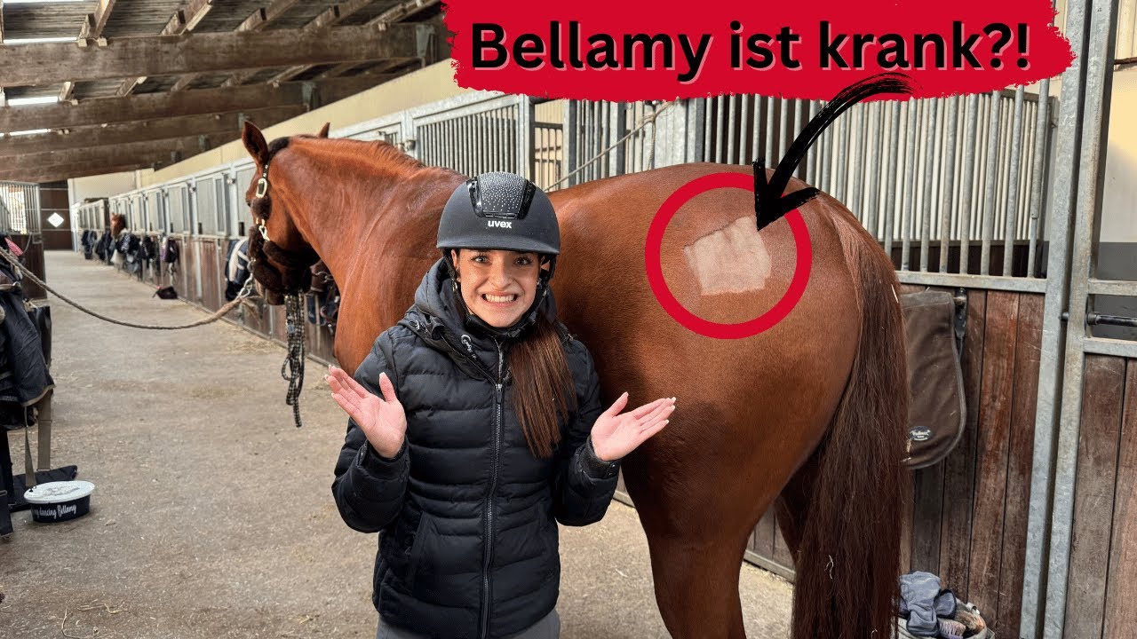 Funny FMA am Stall 🤣​🤪​ | Marina Schuster