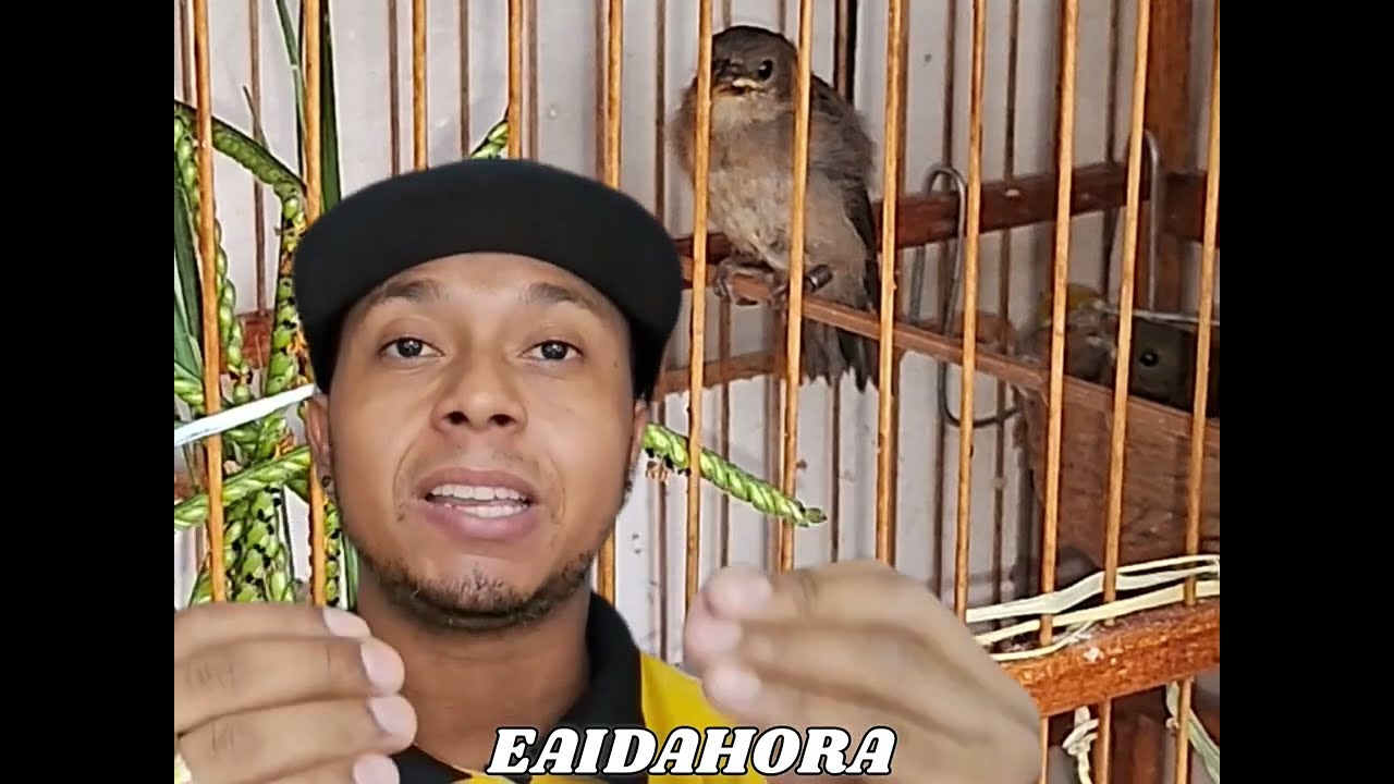 Mesmo com filhote a Fêmea aprontou de novo.