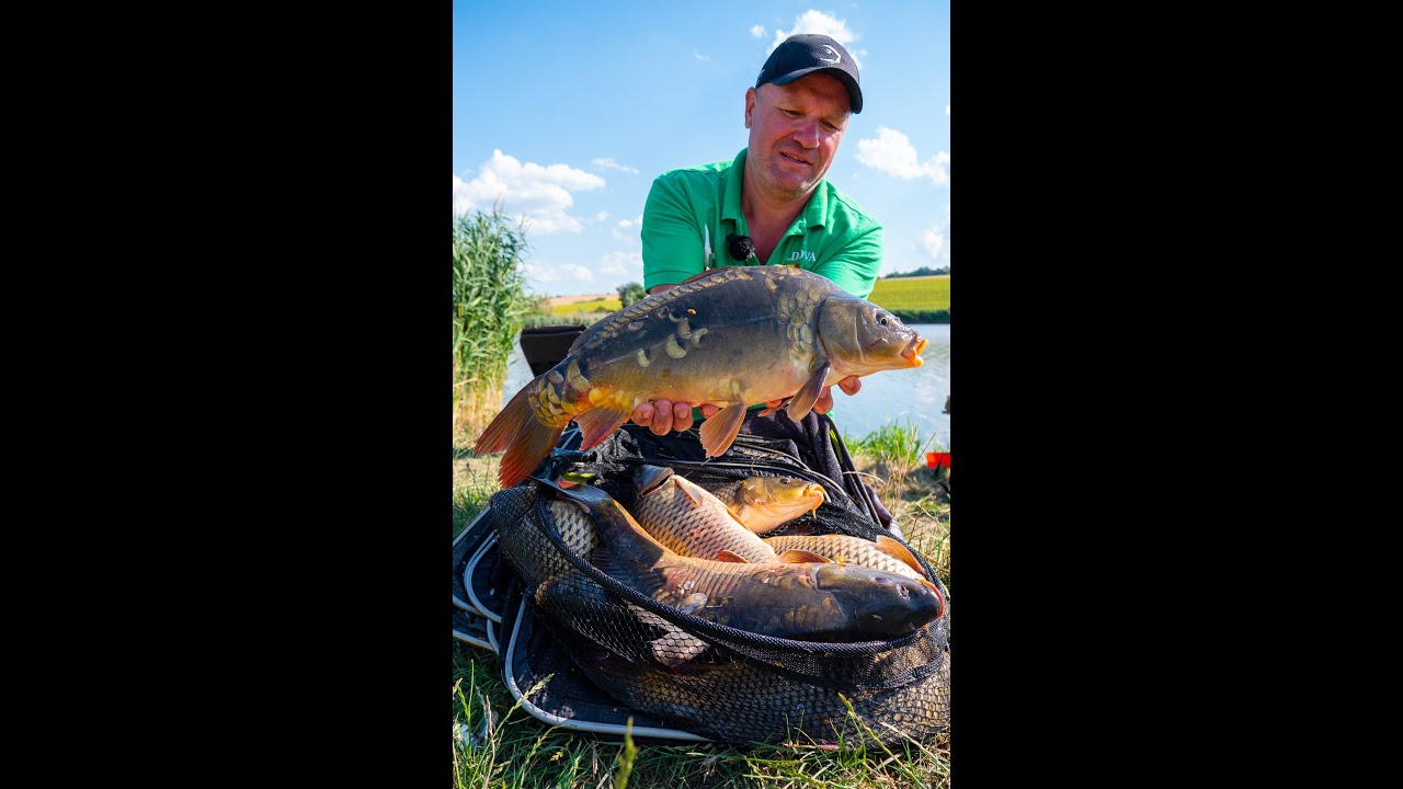 Method feeder fishing for carp.