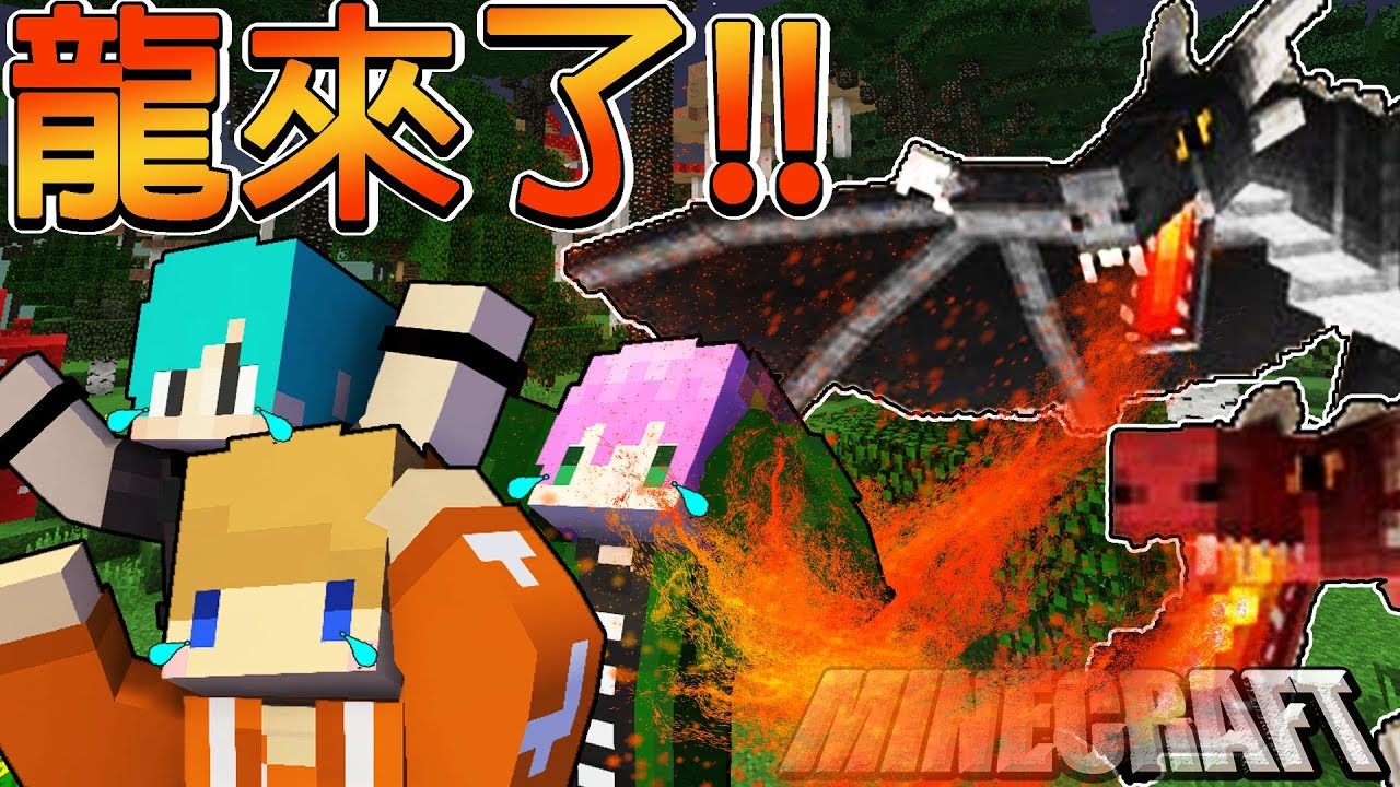 Minecraft冠冠_三傻三界模組生存#27:三傻終於打龍了！龍的實力太出乎預料了...Ft.冬瓜、禾卯