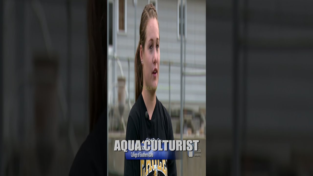 Environment Career | Youngrush |