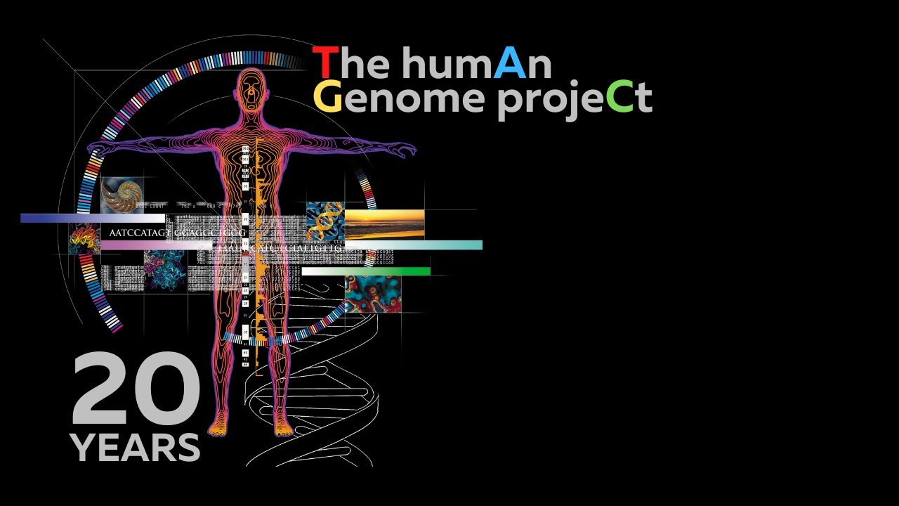 20 Years of the Human Genome