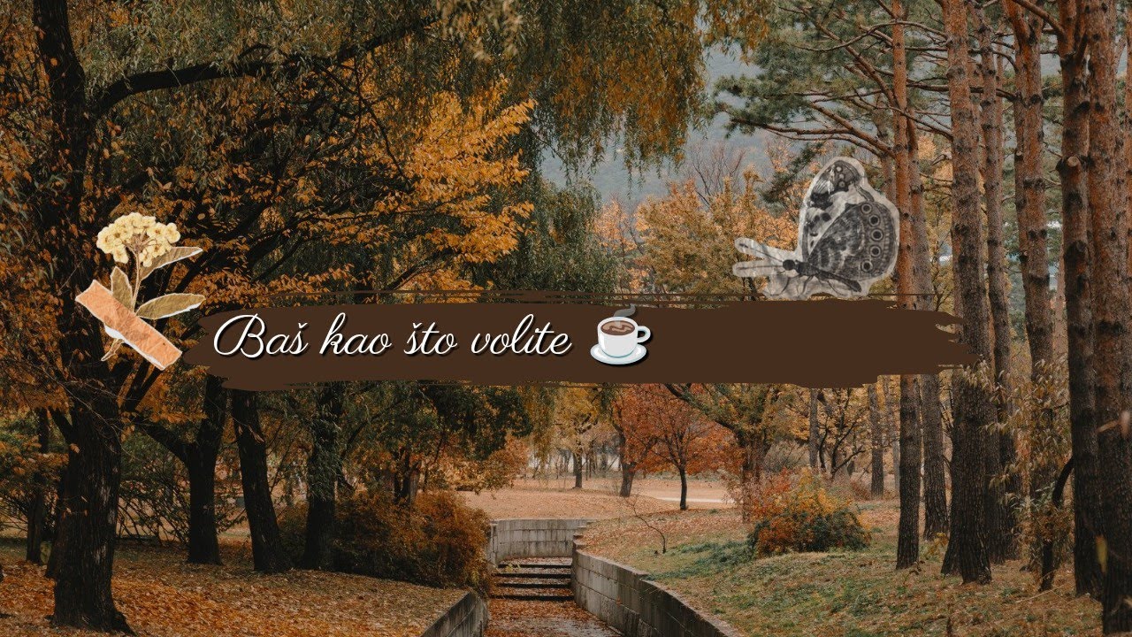 Vlogčina / ☕✨ haul + čišćenje + itd