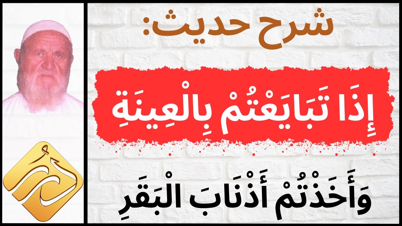 الشيخ الألباني شرح حديث  إذا تبايعتم بالعينة و أخذتم أذناب البقر