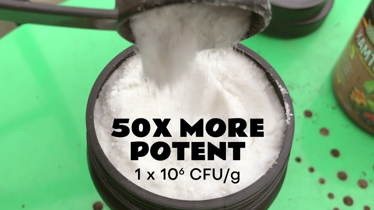 Tricho Protect - Bio Fungicide for Plants