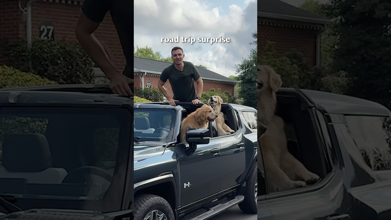 Surprising my dogs with an epic road trip to a yurt 🛖