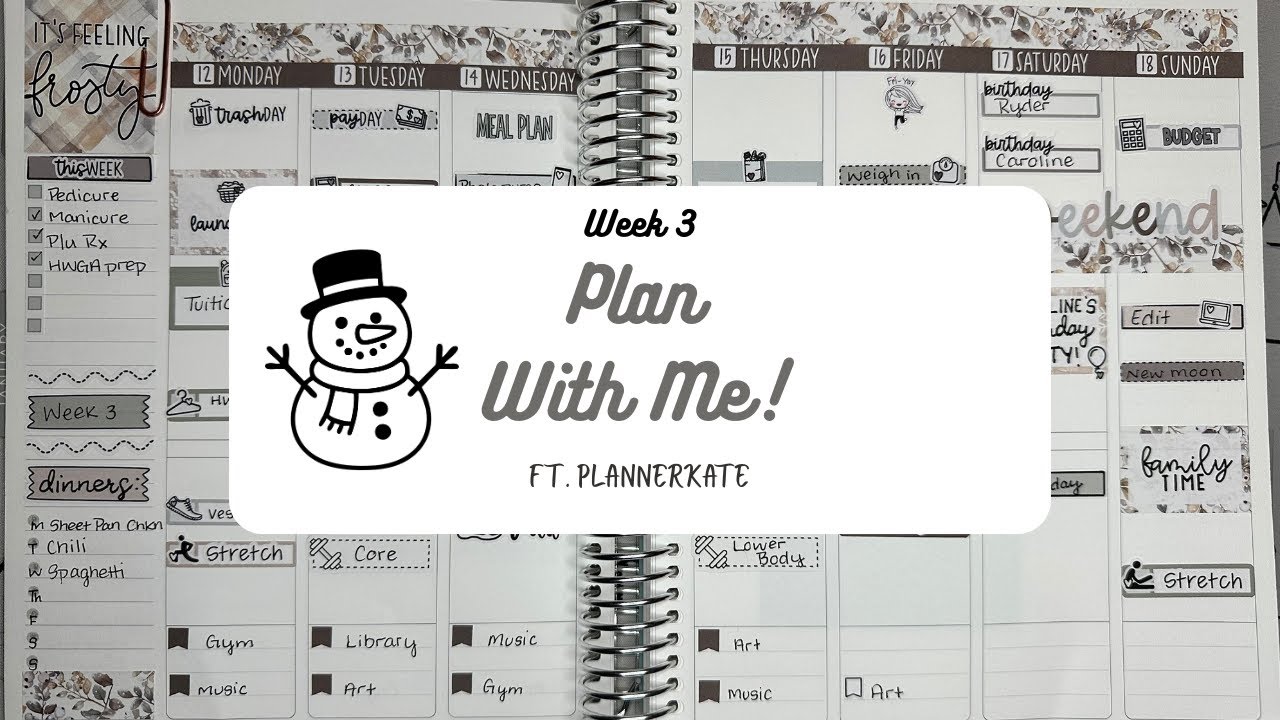 Plan With Me Week 3 | PlannerKate & Erin Condren