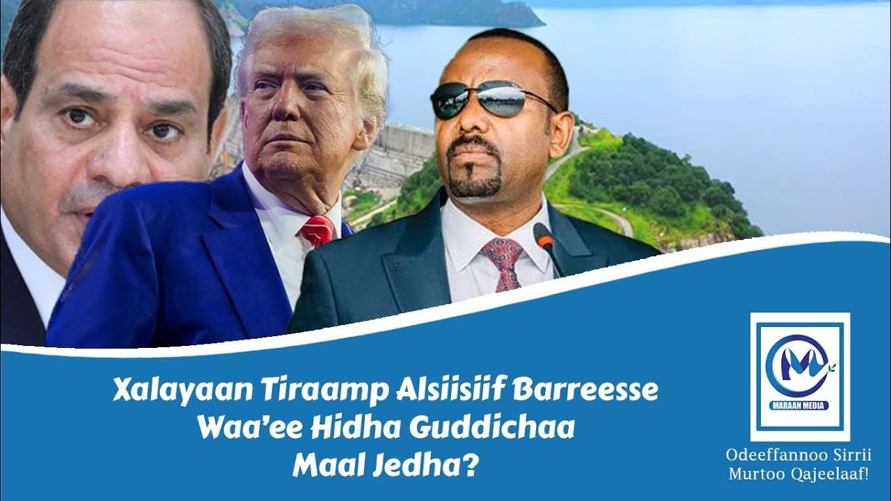 Xalayaan Traamp waa'ee hidha laga abbayyaa Alsiisiif barreessan maal jedha?