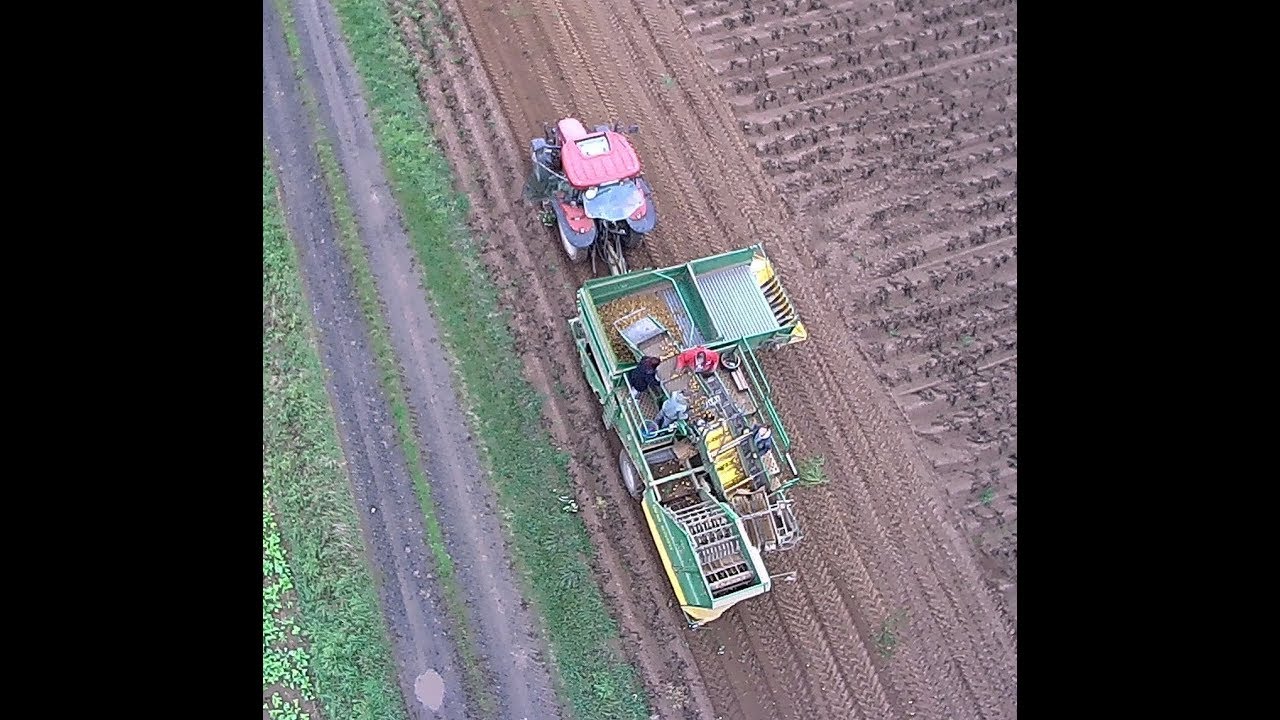 Landwirtschaft in Waldeck Frankenberg  Kartoffeln aus Edertal