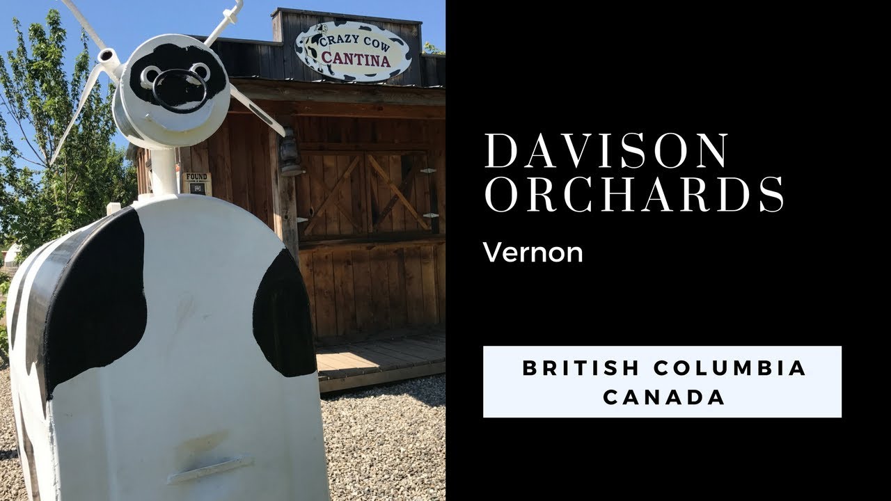 Davison Orchards - Best Family Things To Do In Vernon BC