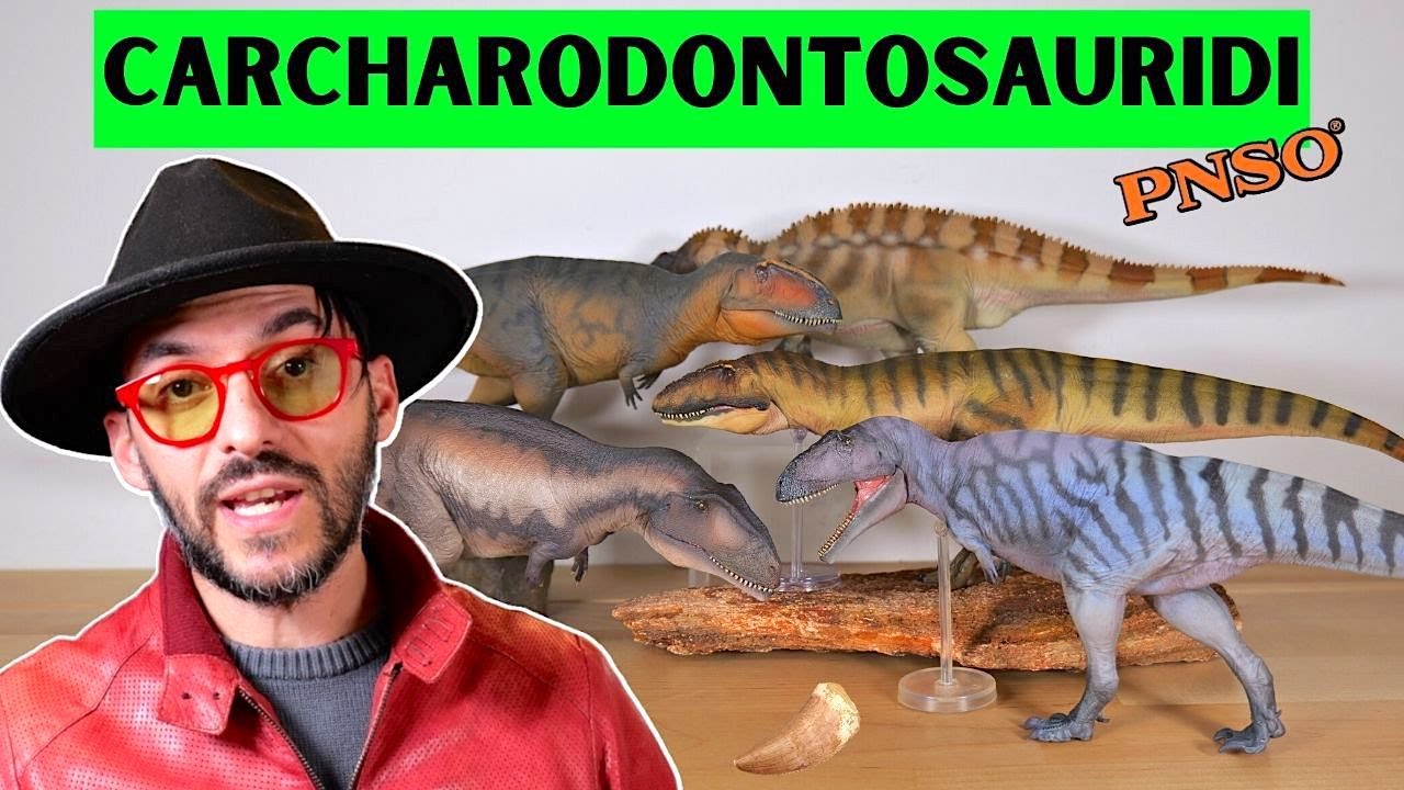 Lotta tra tutti i carcharodontosauridi PNSO!