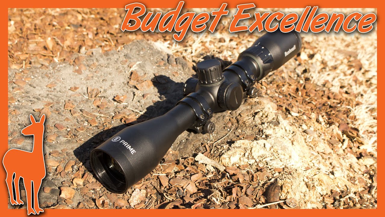 Bushnell Prime Long-Term Scope Review: 1-4x32mm & 3-9x40mm